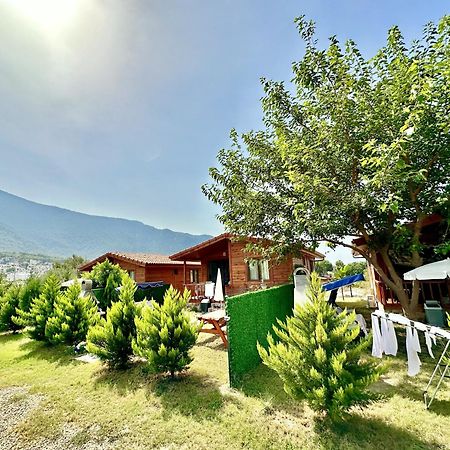 Hurmalik Apart Evleri-Very Close To The Sea Large Garden Bungalow With Barbecue And Swing Karaoz Exterior foto