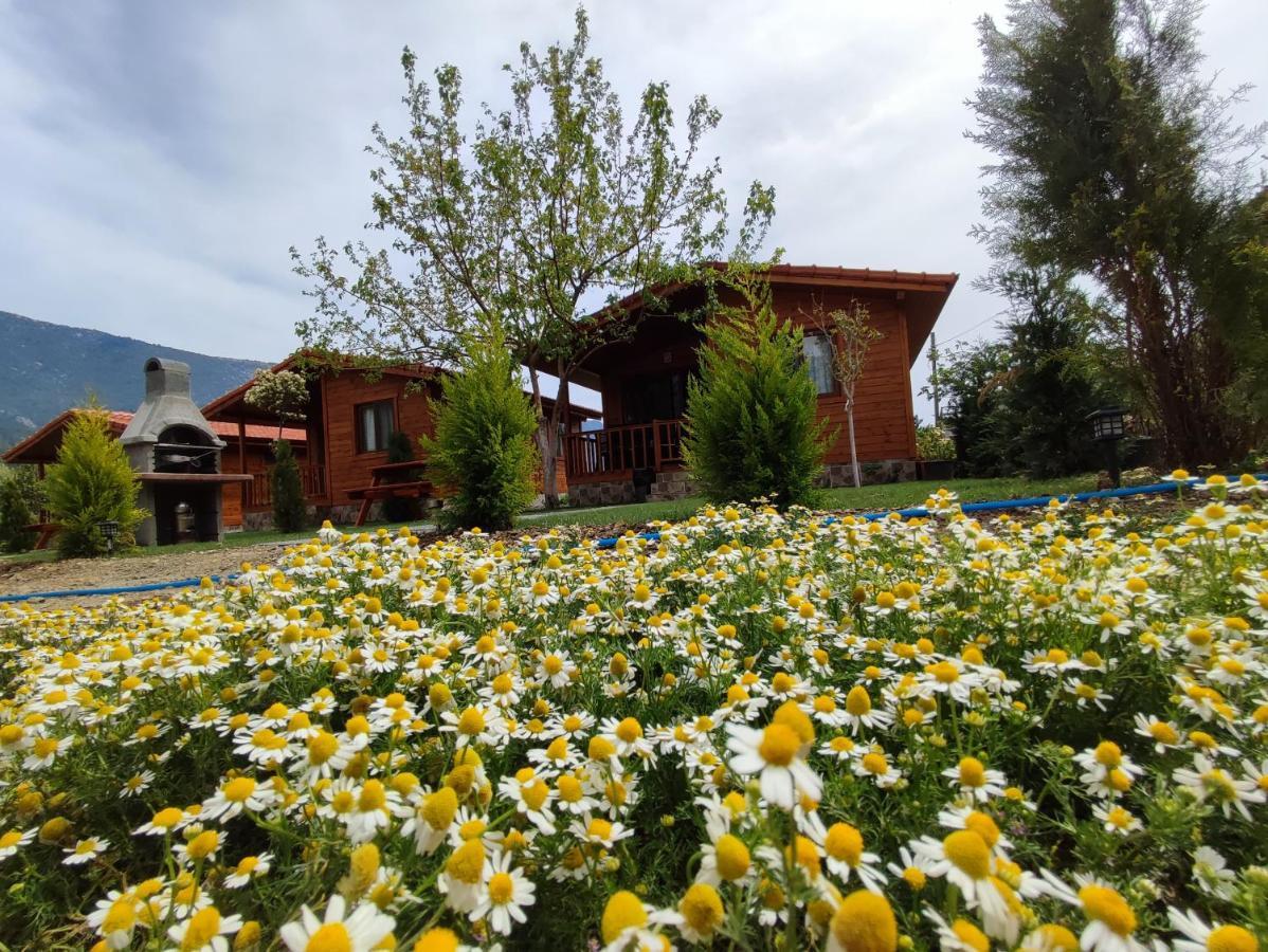 Hurmalik Apart Evleri-Very Close To The Sea Large Garden Bungalow With Barbecue And Swing Karaoz Exterior foto